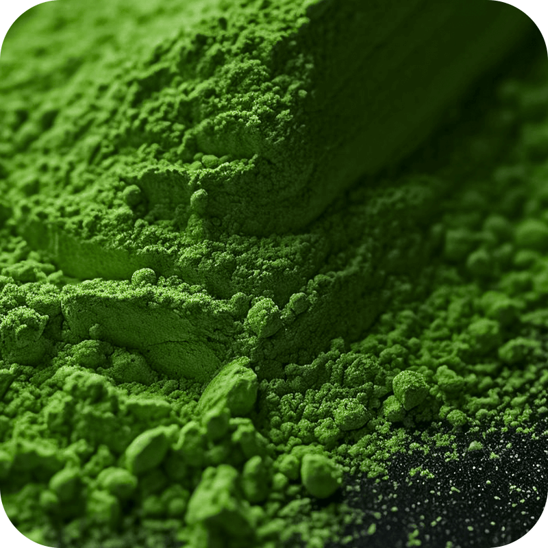 Gut Reset Blend Powder